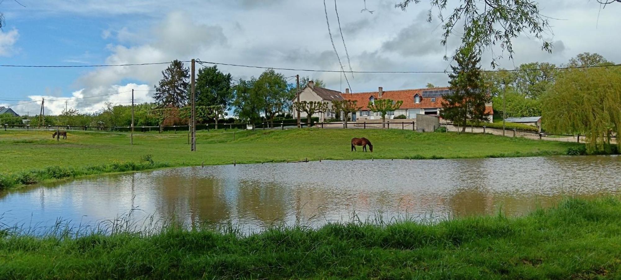 La Ferme Des Bigornes Ξενοδοχείο Châtillon-sur-Indre Εξωτερικό φωτογραφία